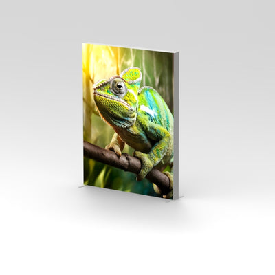 CASETĂ LUMINOASĂ TEXTILĂ 2.0X3.0 M