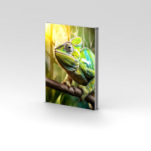 CASETĂ TEXTILĂ LED PRO 2.0X3.0 M